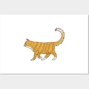 Fluffy orange cat Posters and Art